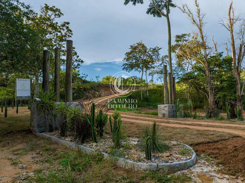 Terreno, 2 hectares - Foto 27