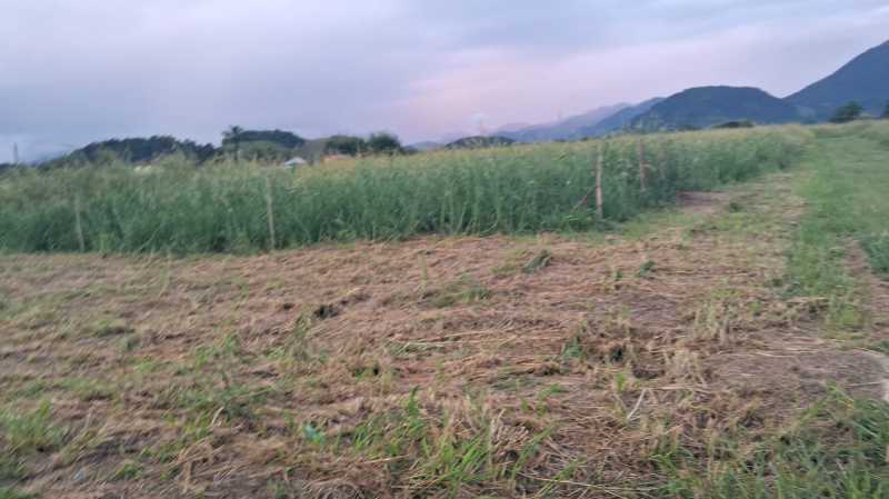 Terreno, 200 m² - Foto 15