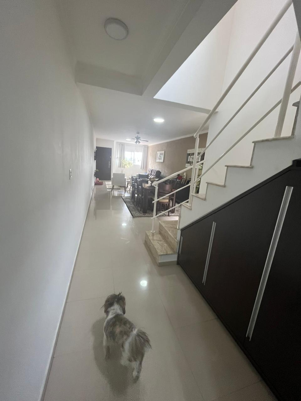 Casa, 3 quartos, 231 m² - Foto 6