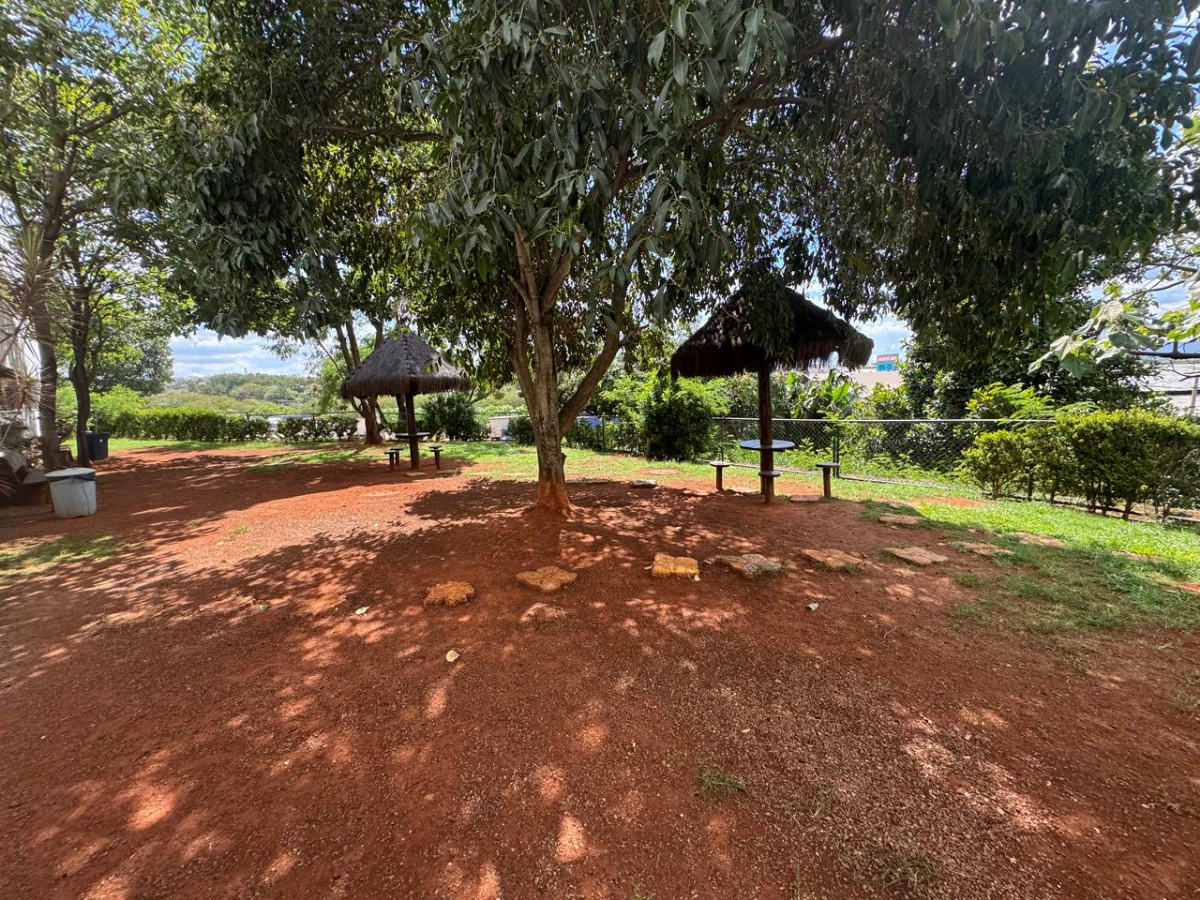 Apartamento, 3 quartos, 64 m² - Foto 25