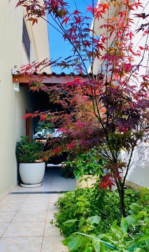 Casa, 3 quartos, 320 m² - Foto 4