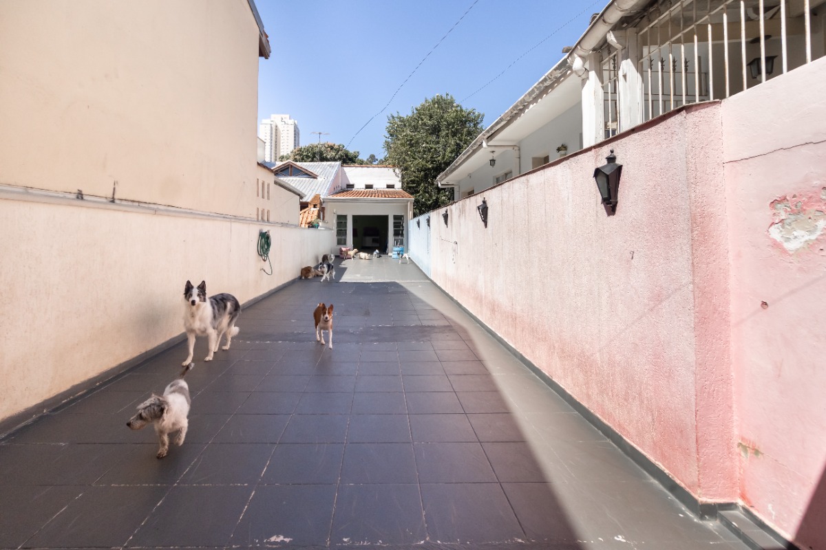 Casa, 2 quartos, 225 m² - Foto 21