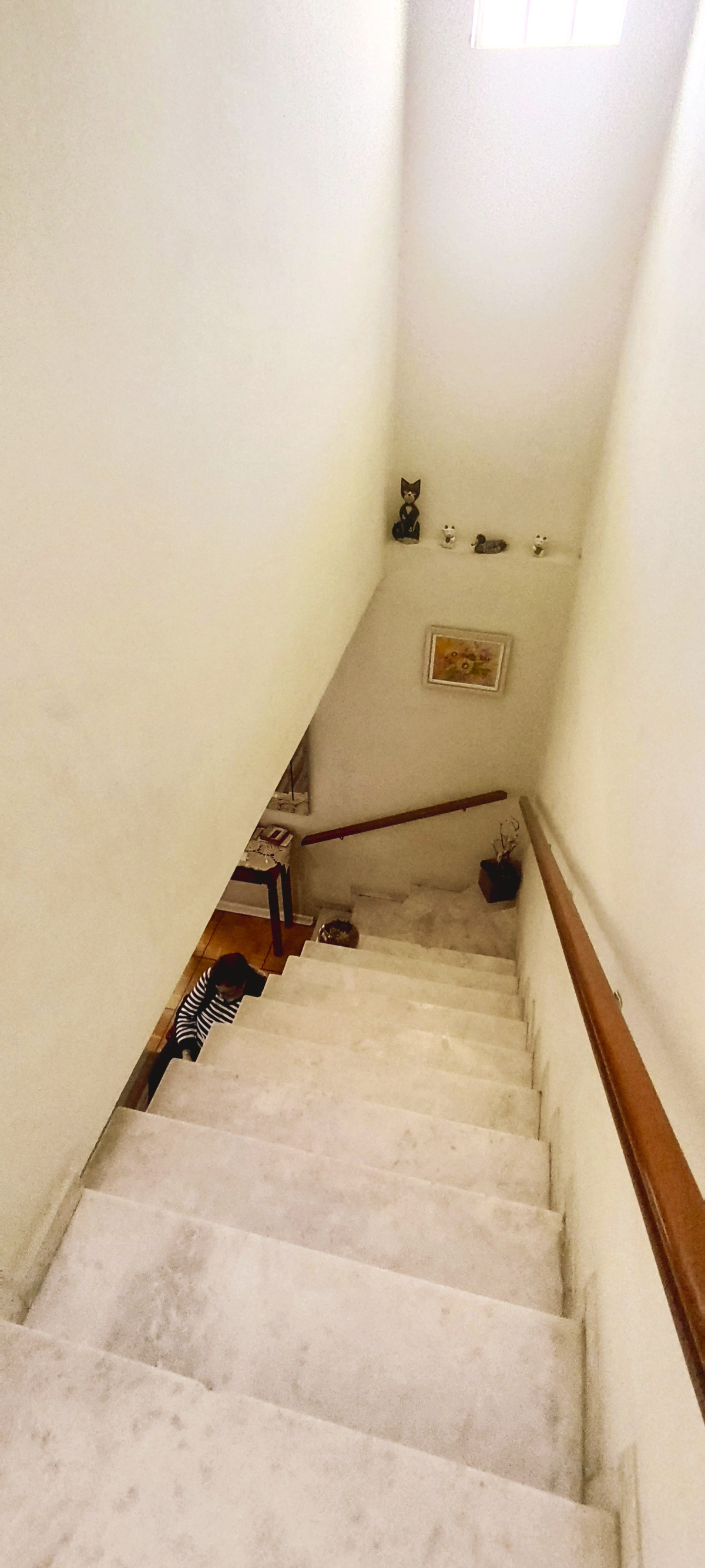 Casa, 2 quartos, 216 m² - Foto 22
