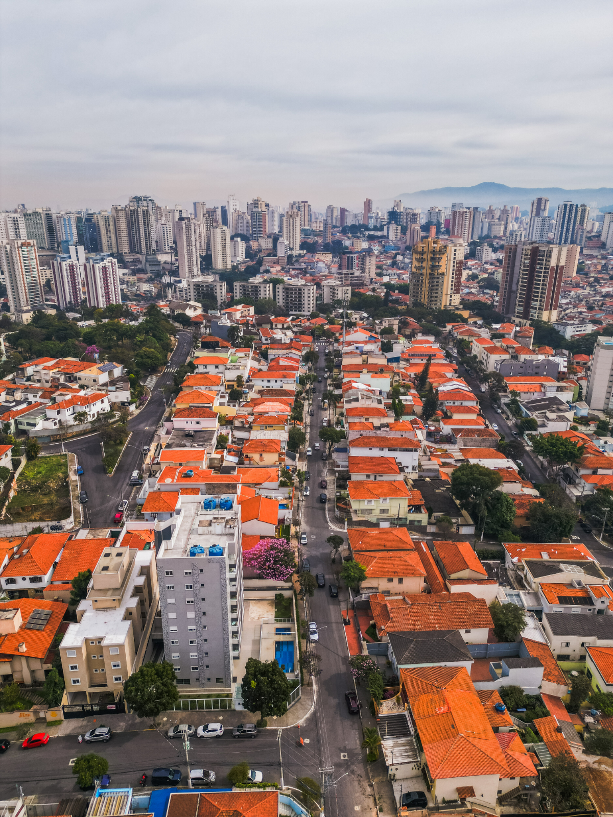 Casa, 4 quartos, 433 m² - Foto 18