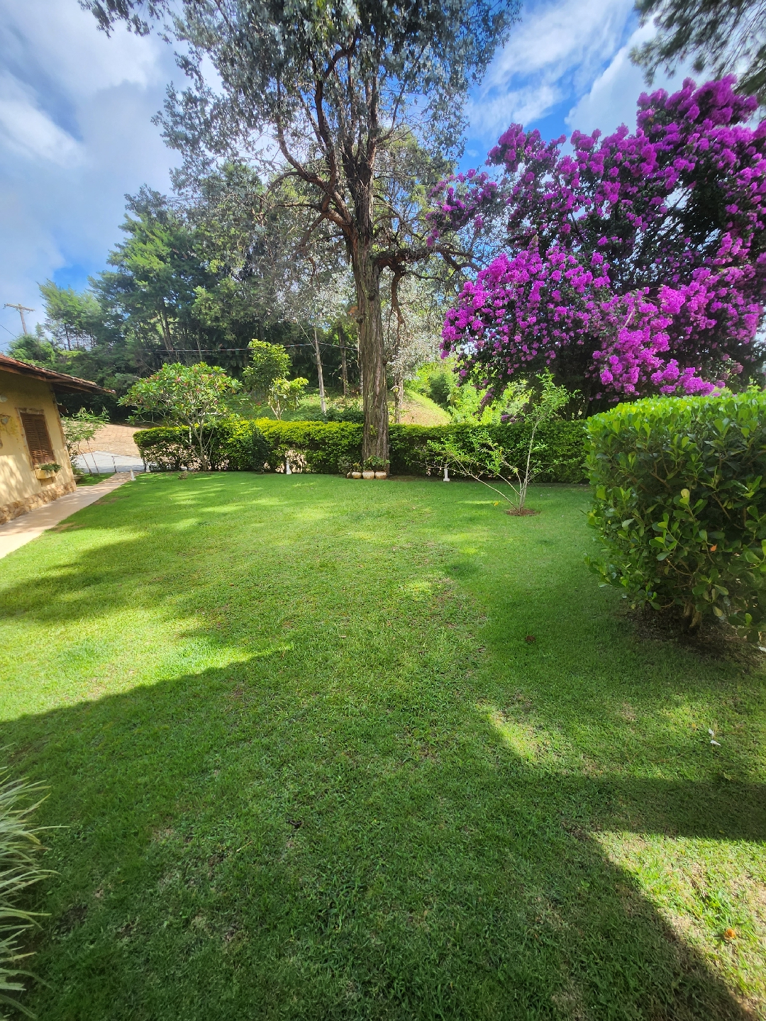 Apartamento, 6 quartos, 400 m² - Foto 2
