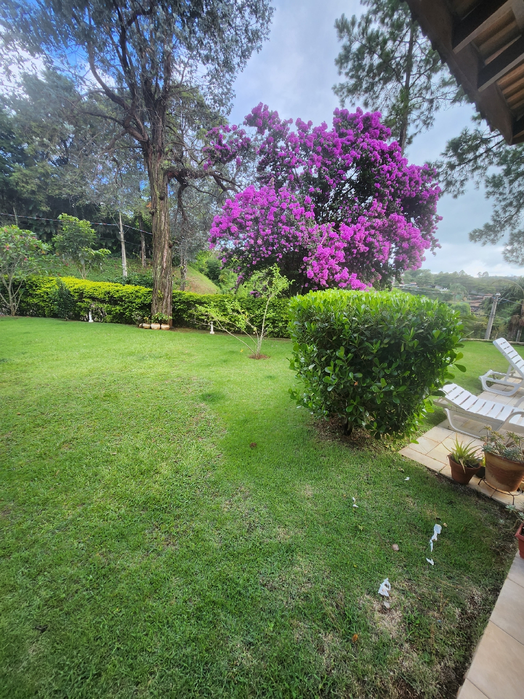 Apartamento, 6 quartos, 400 m² - Foto 8