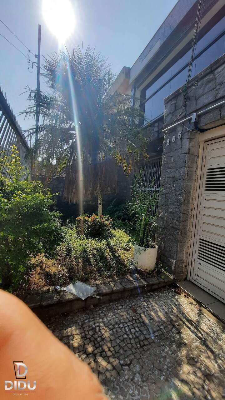 Casa, 3 quartos, 270 m² - Foto 4