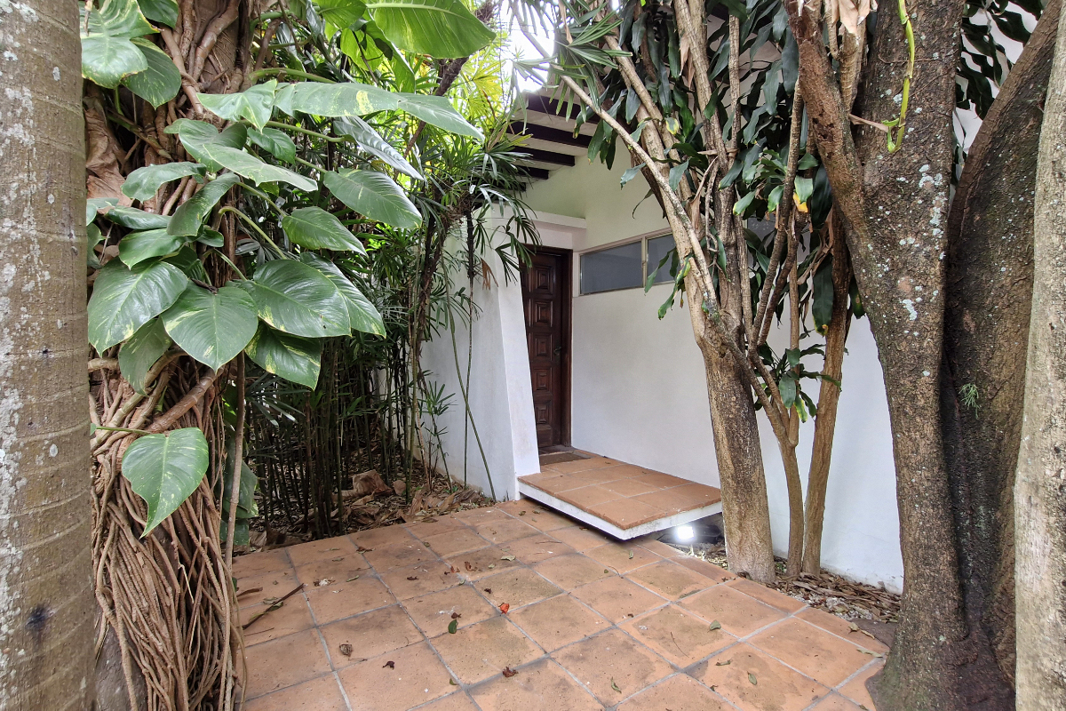 Casa, 4 quartos, 375 m² - Foto 4