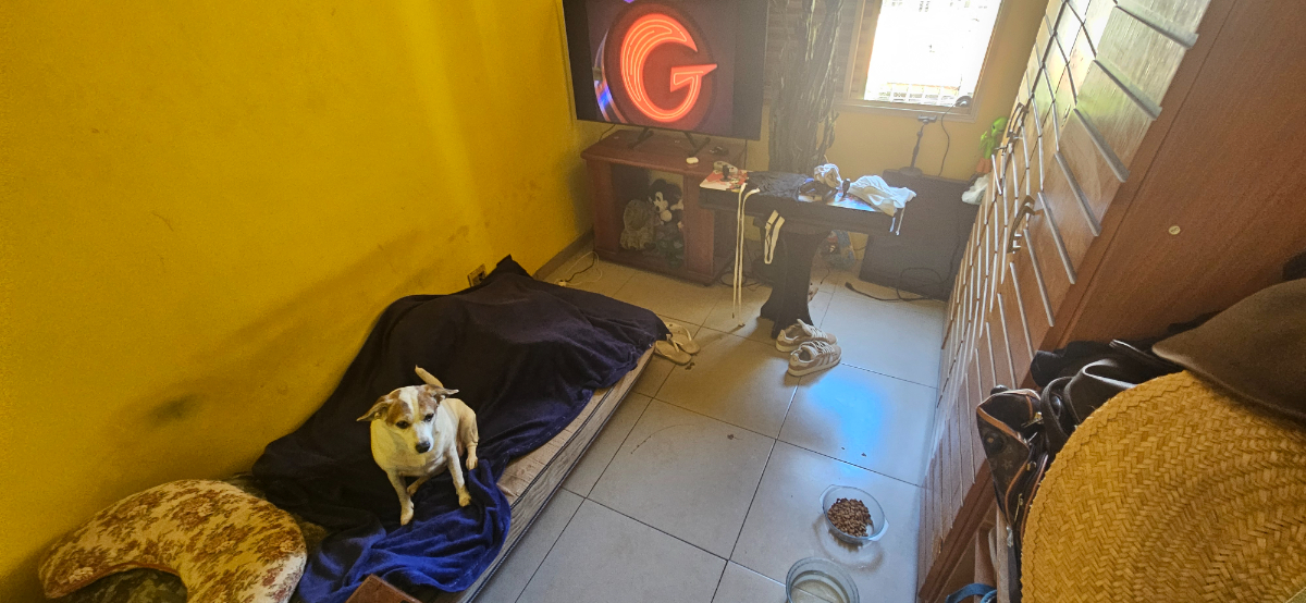 Apartamento, 3 quartos, 85 m² - Foto 14