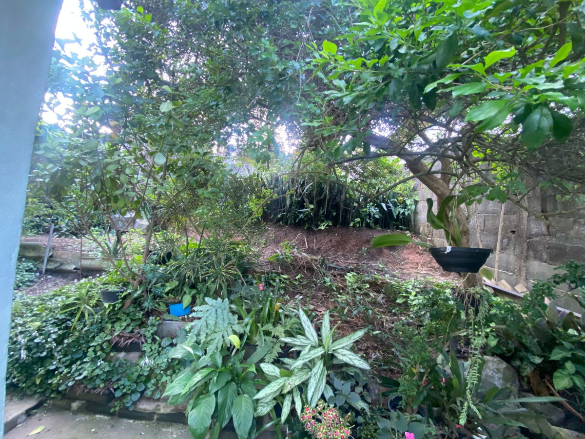 Terreno - Foto 20