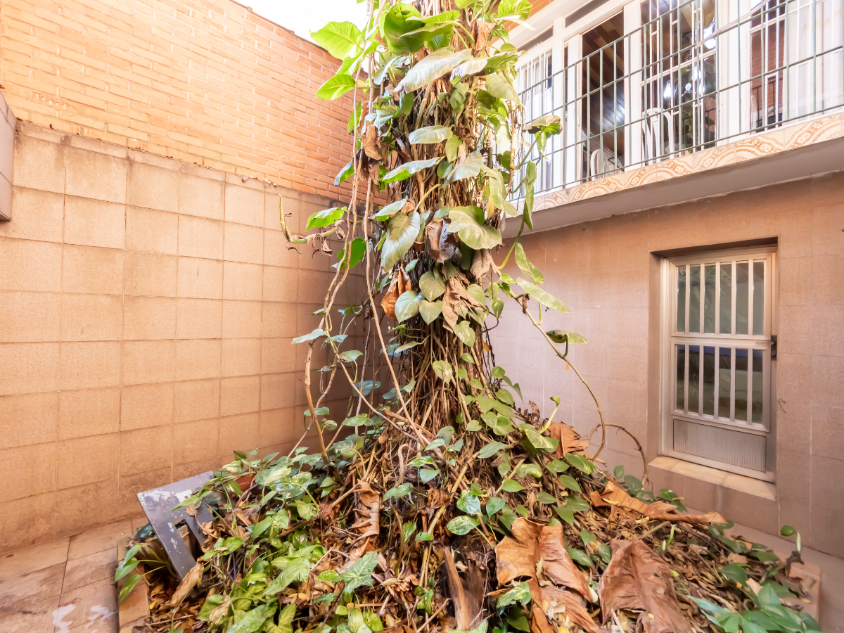 Casa, 4 quartos, 350 m² - Foto 21