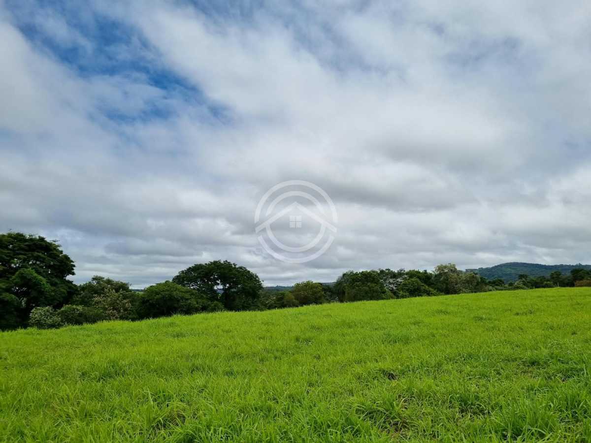 Terreno, 2 hectares - Foto 7