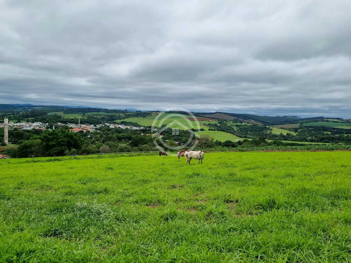 Terreno, 2 hectares - Foto 8