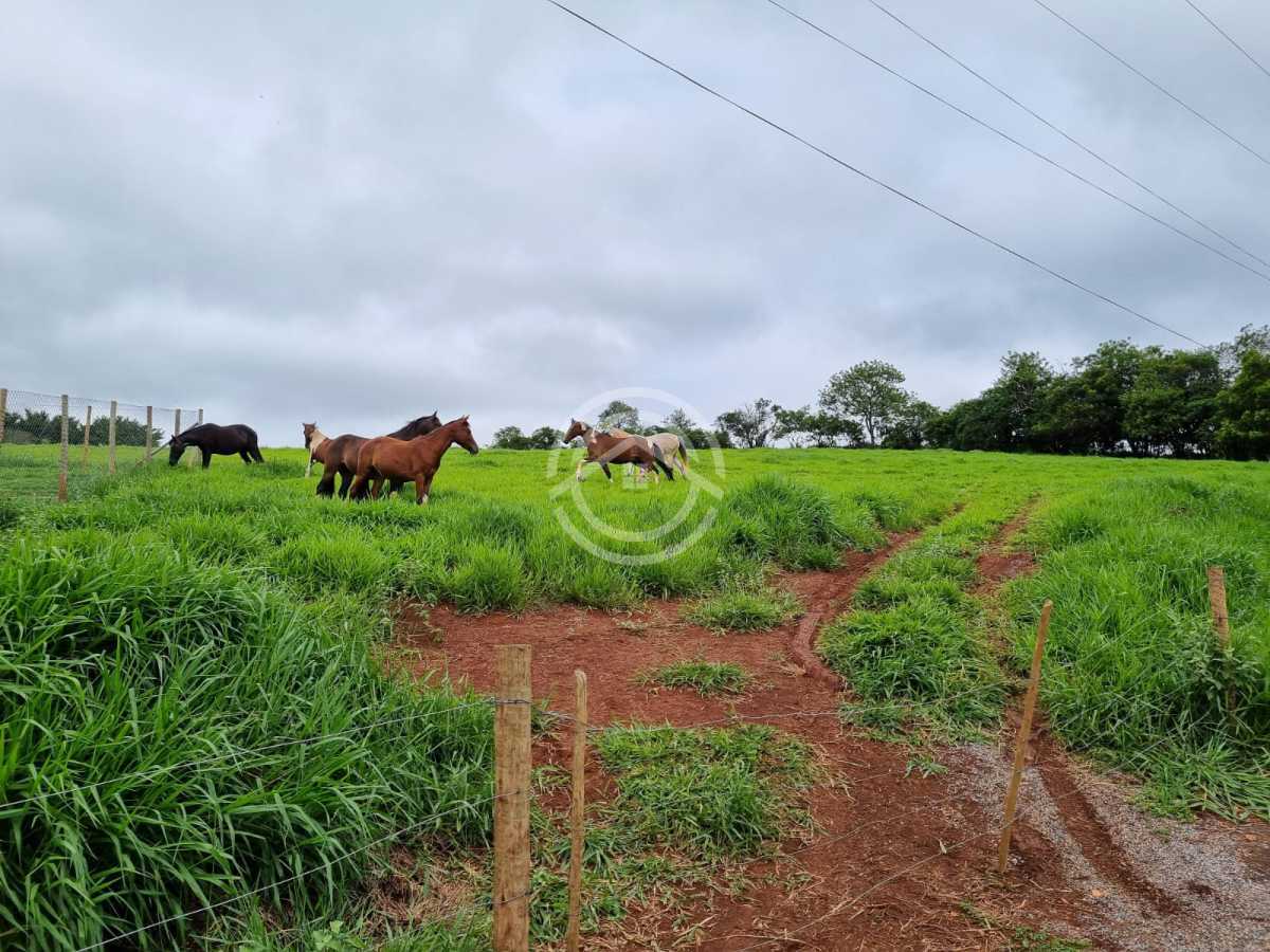 Terreno, 2 hectares - Foto 10