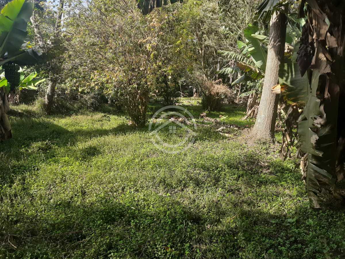 Terreno, 1000 m² - Foto 1
