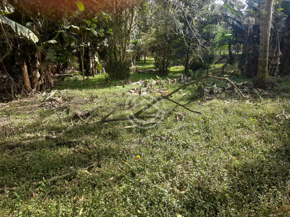Terreno, 1000 m² - Foto 3