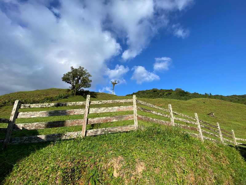 Fazenda, 206000 hectares - Foto 9