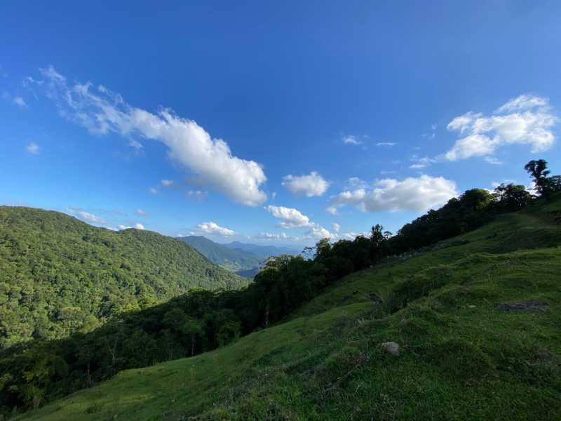 Fazenda, 206000 hectares - Foto 12