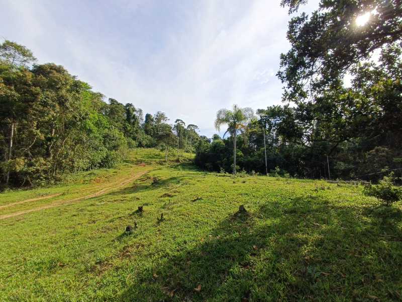 Fazenda, 29 hectares - Foto 4