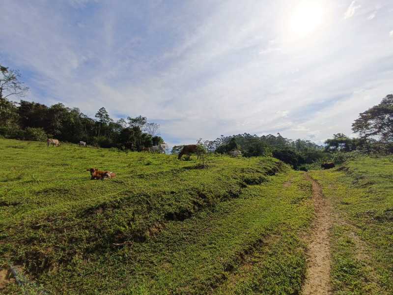 Fazenda, 29 hectares - Foto 6