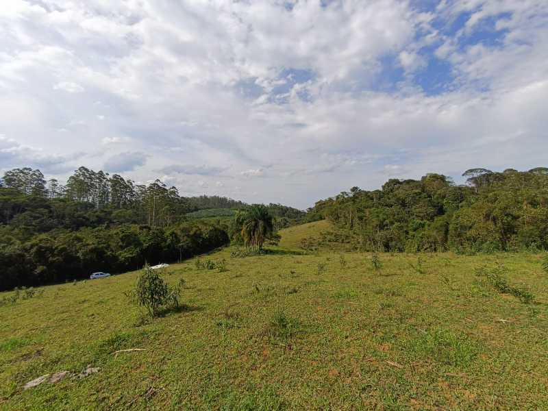 Fazenda, 29 hectares - Foto 1