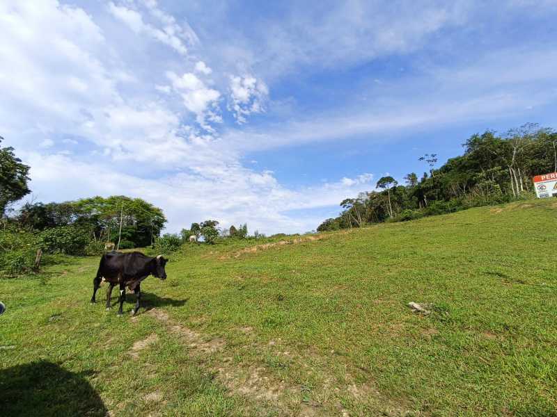 Fazenda, 29 hectares - Foto 7