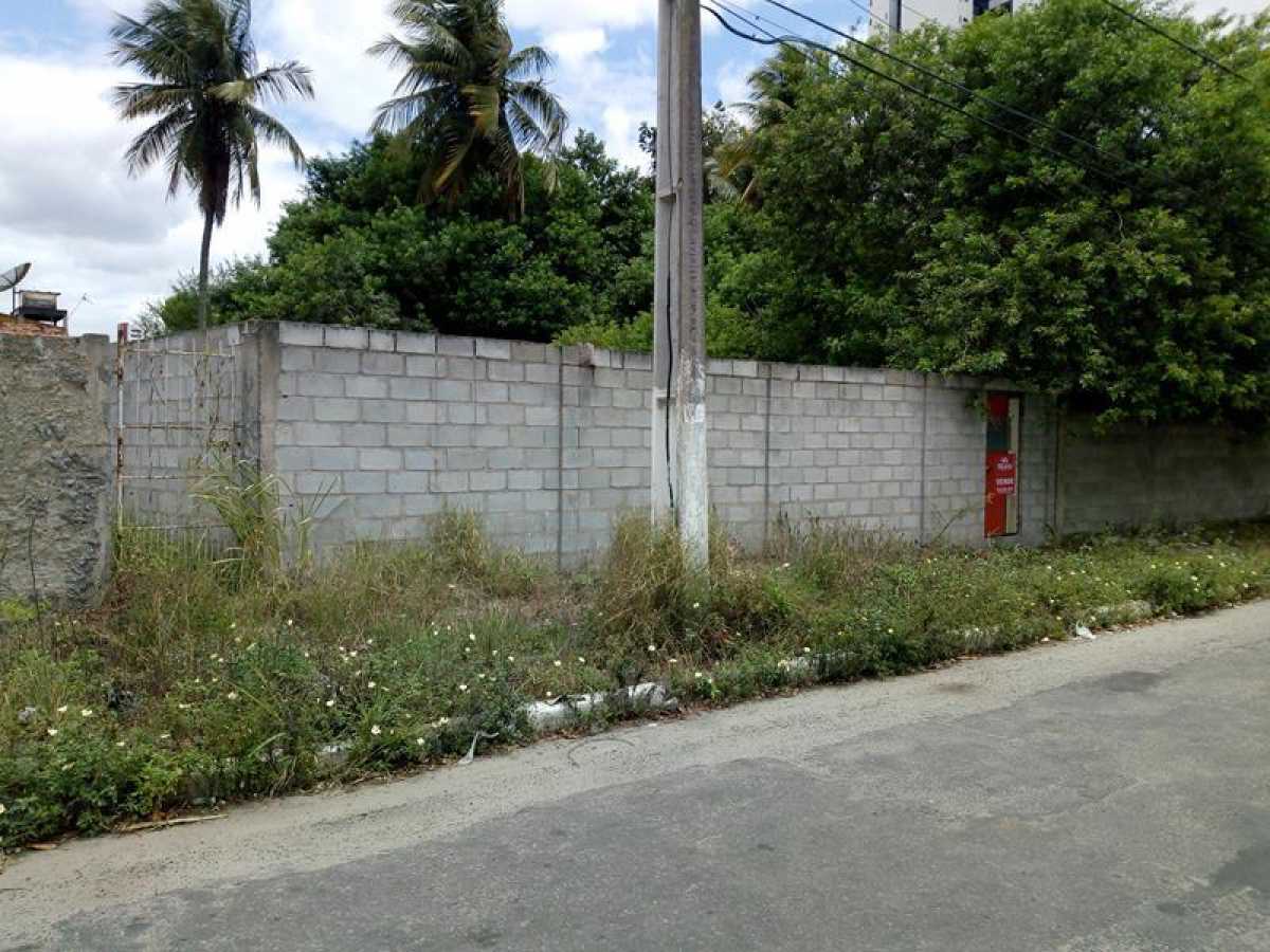 Terreno - Foto 2