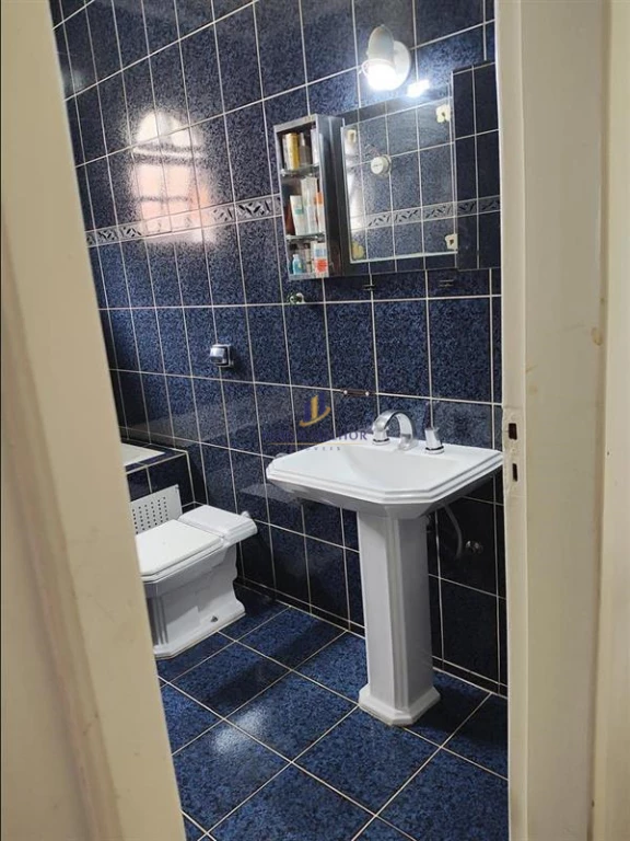 Casa, 4 quartos, 270 m² - Foto 19
