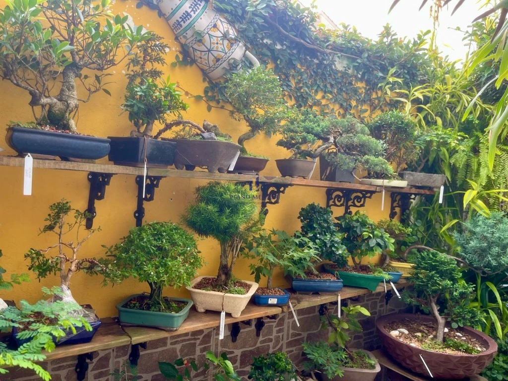 Casa, 3 quartos, 218 m² - Foto 29