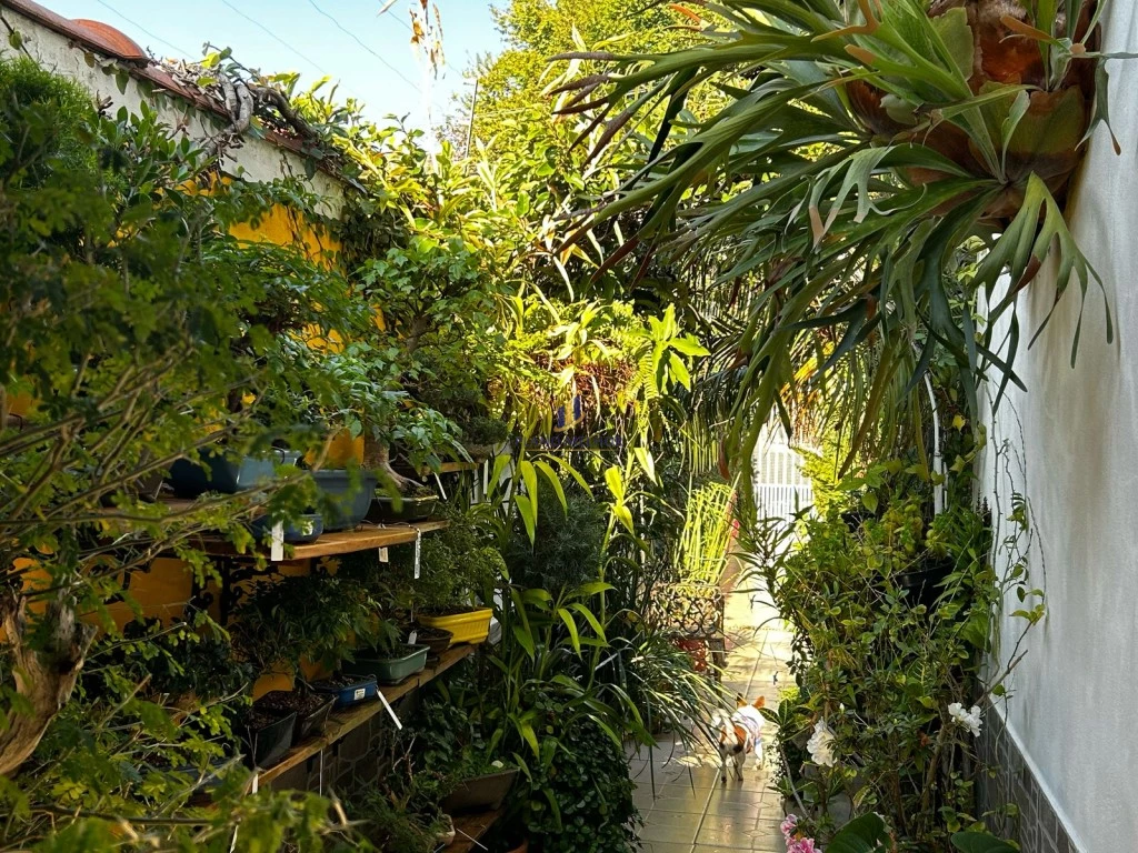 Casa, 3 quartos, 218 m² - Foto 43
