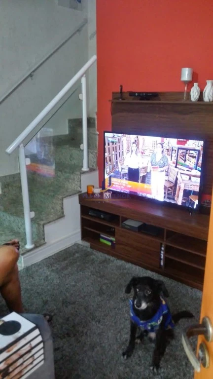 Casa, 2 quartos, 62 m² - Foto 18