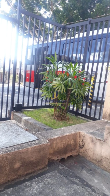 Apartamento, 3 quartos, 55 m² - Foto 12
