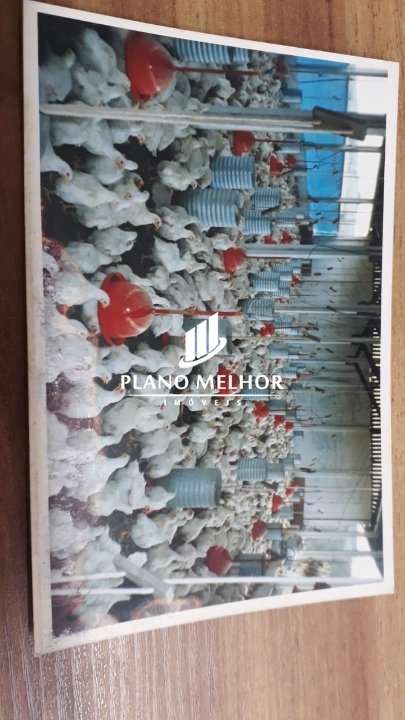 Chácara - Foto 7
