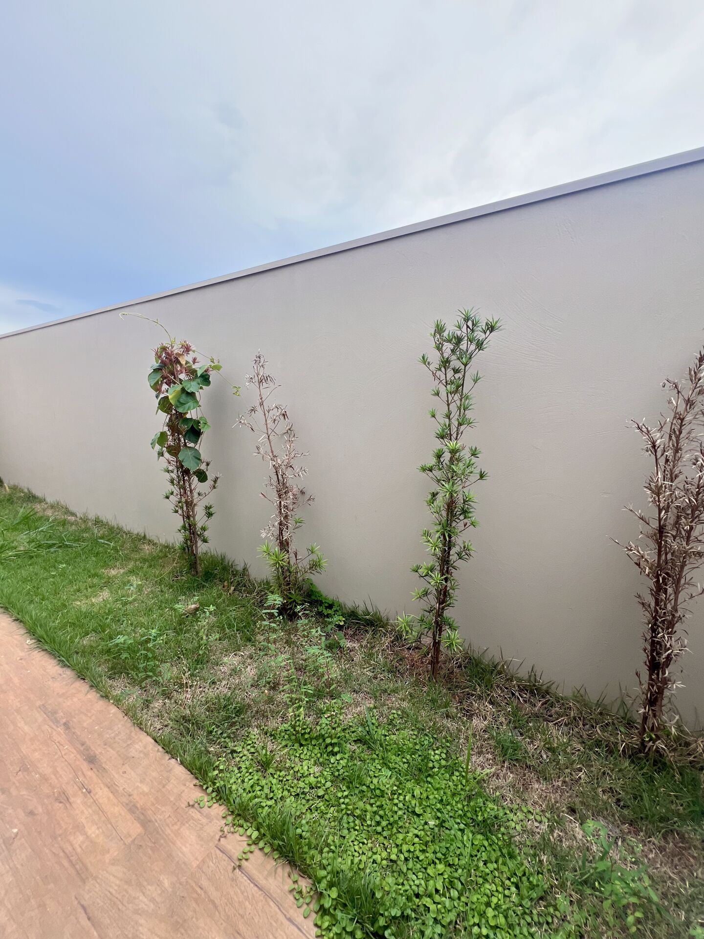 Casa, 3 quartos, 148 m² - Foto 18
