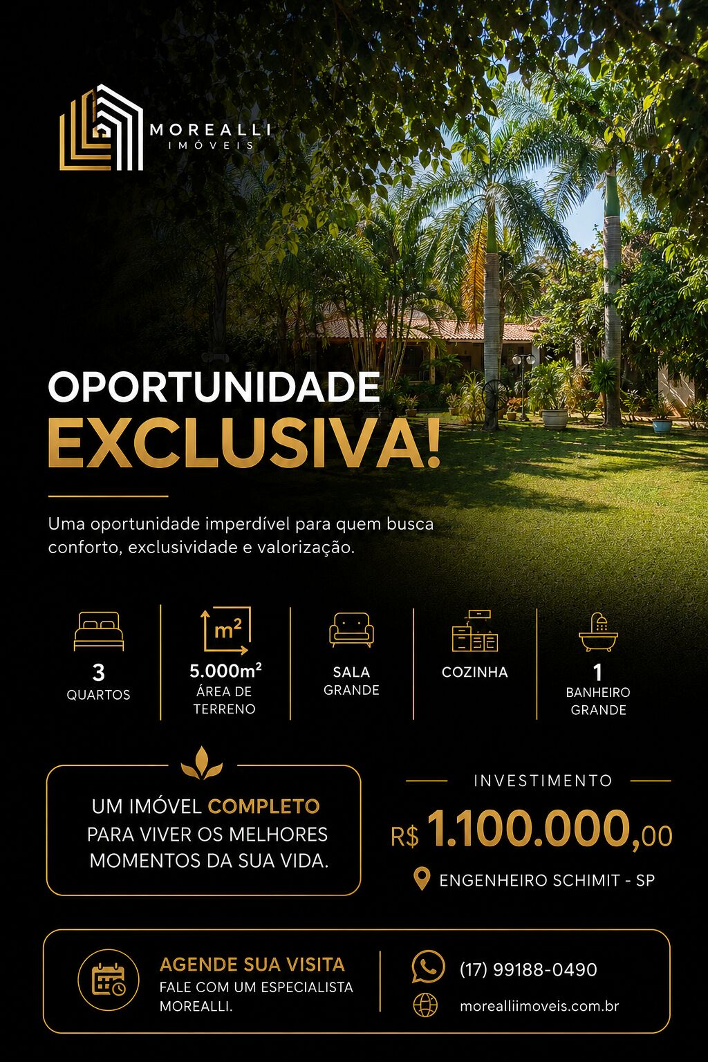 Chácara, 3 quartos - Foto 1