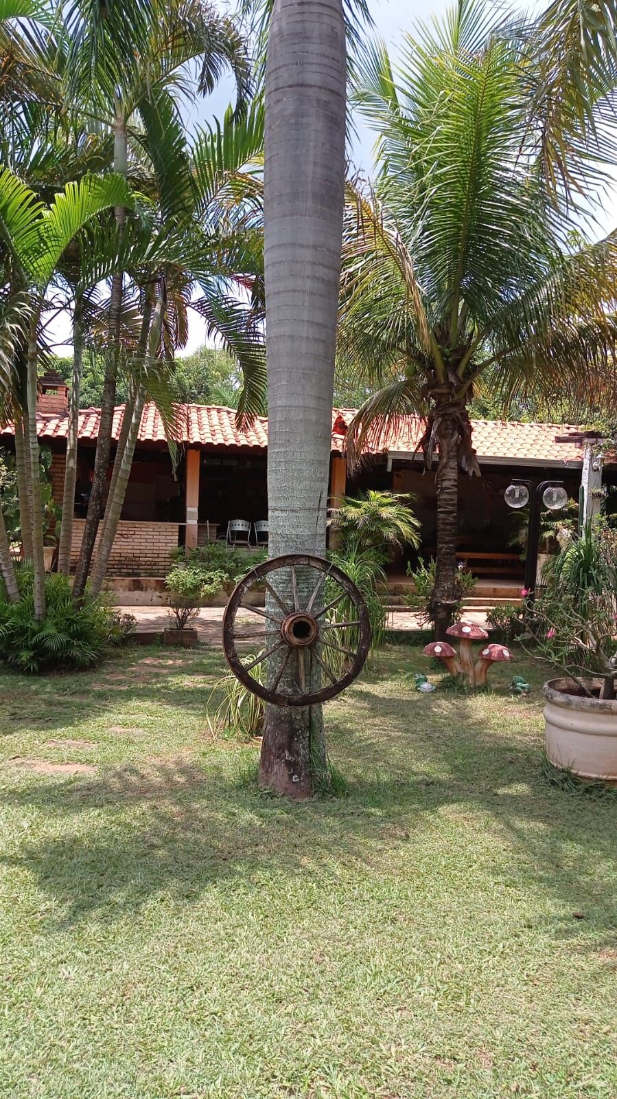 Chácara, 3 quartos - Foto 6