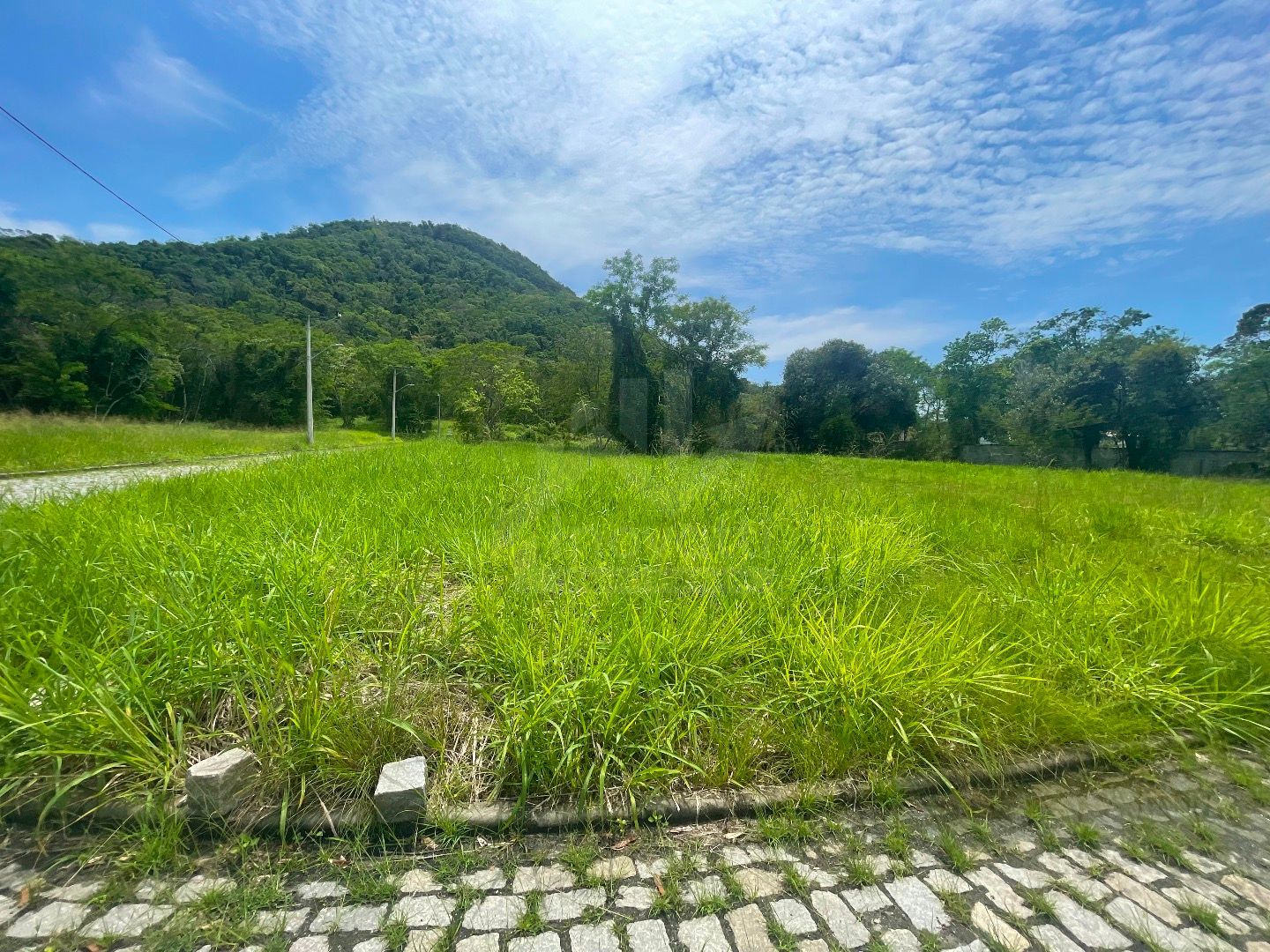 Terreno, 360 m² - Foto 3