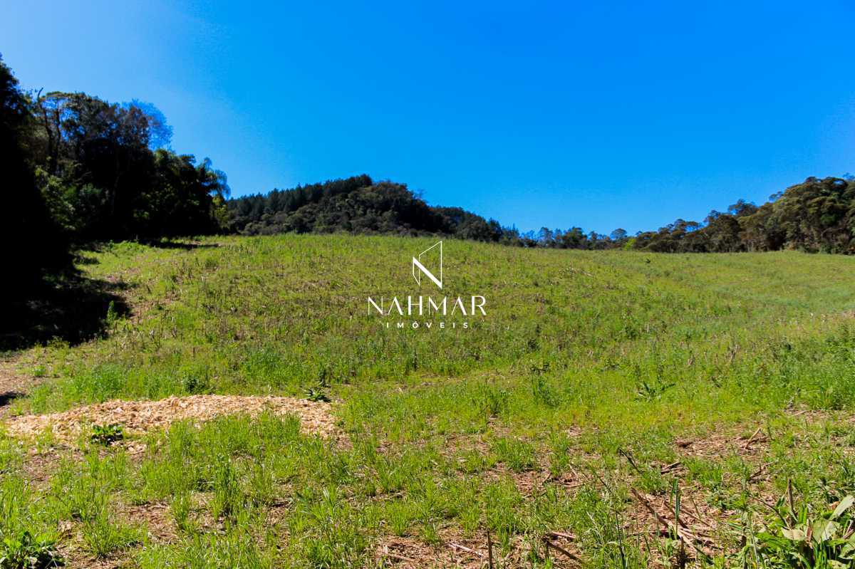 Chácara, 9 hectares - Foto 1
