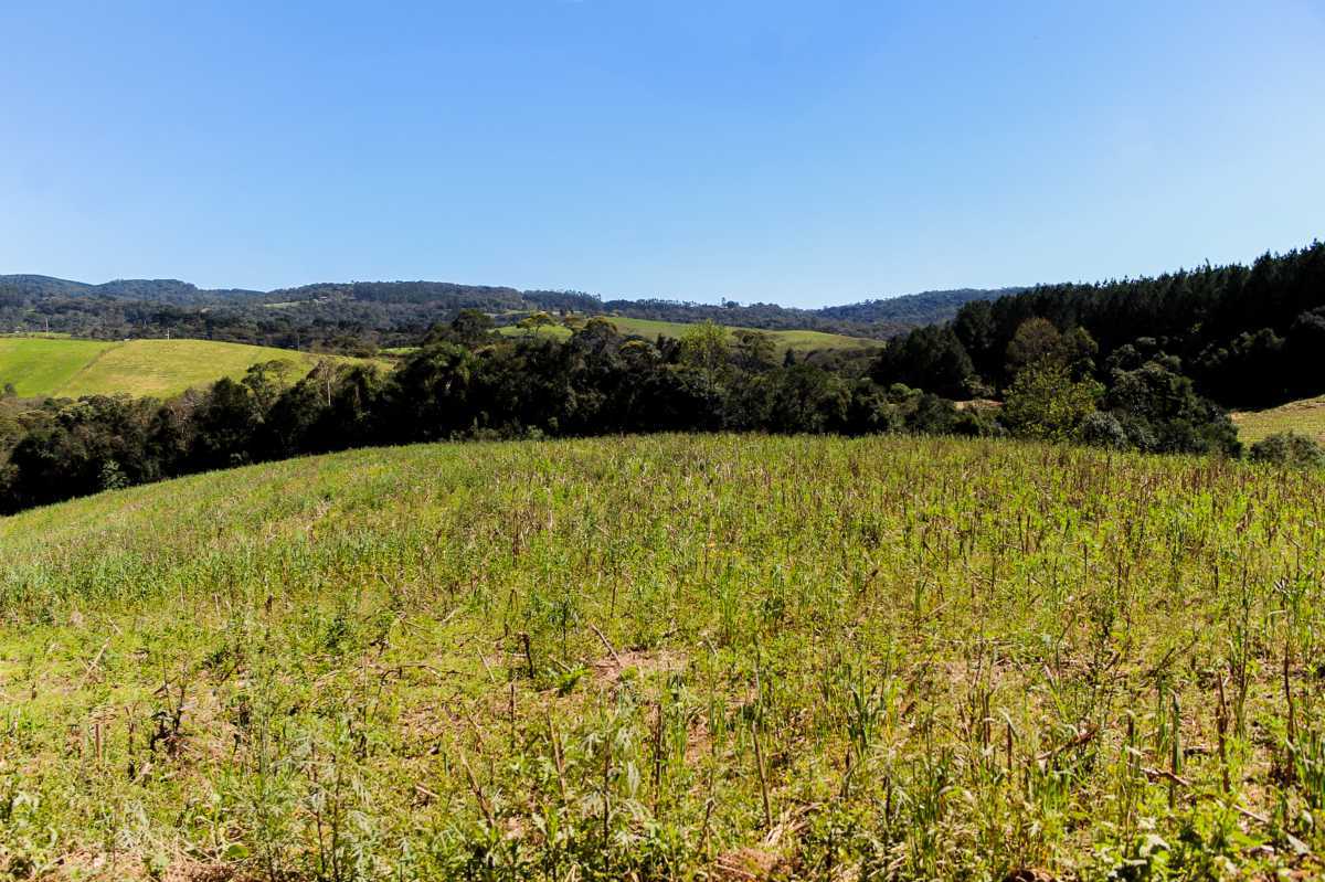 Chácara - Foto 3