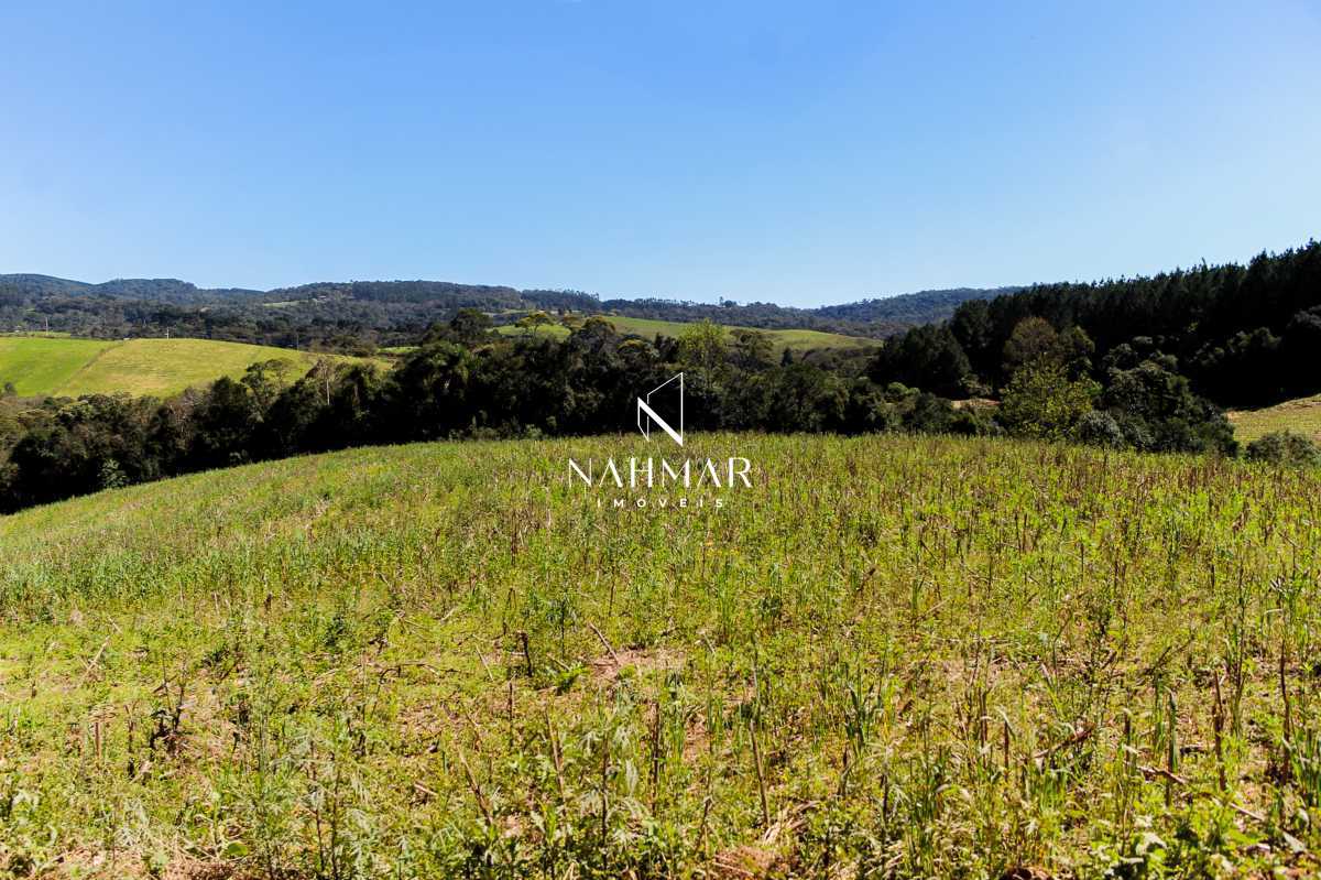 Chácara, 9 hectares - Foto 3