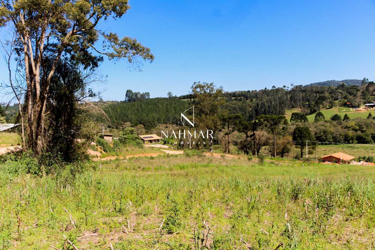 Chácara, 9 hectares - Foto 8