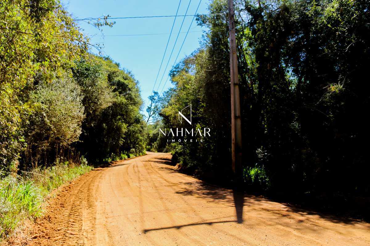 Chácara, 9 hectares - Foto 10
