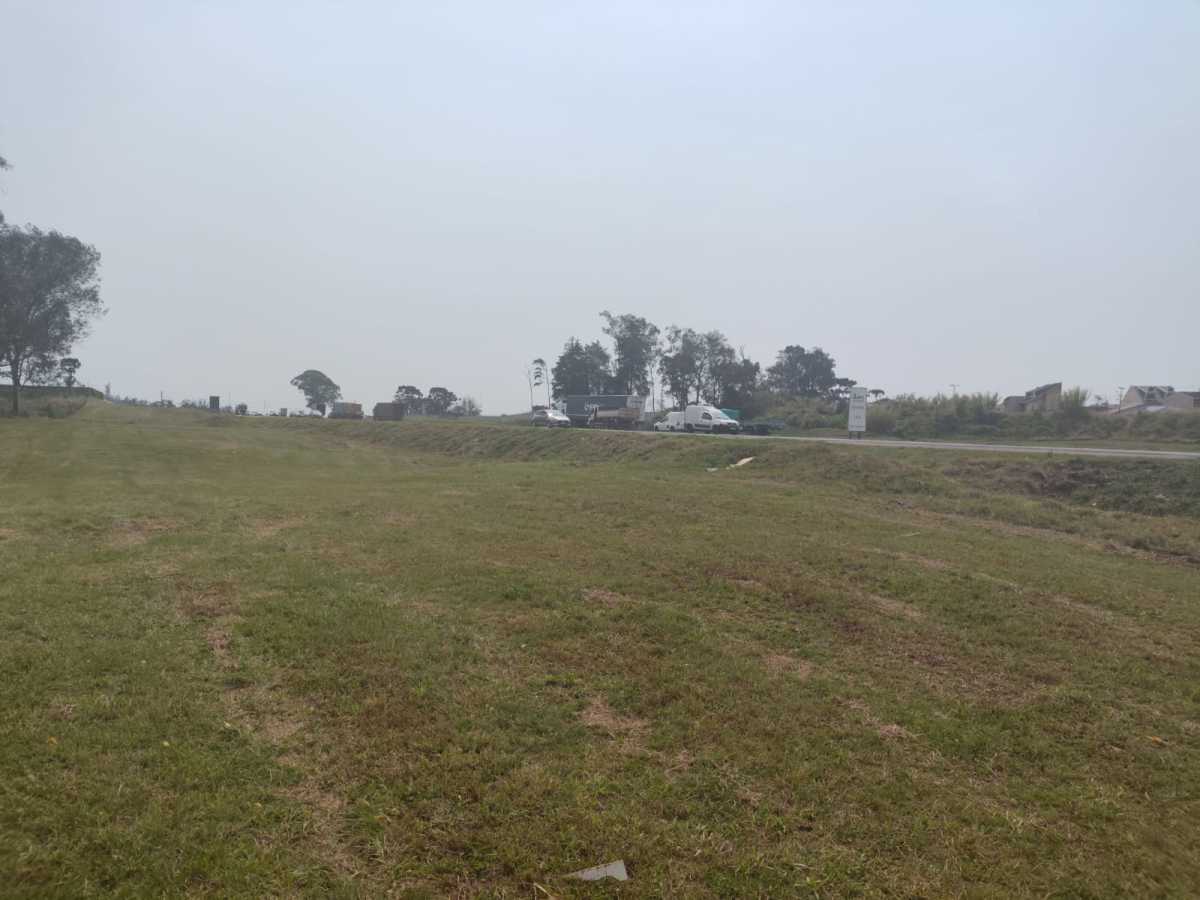 Terreno, 4 hectares - Foto 4