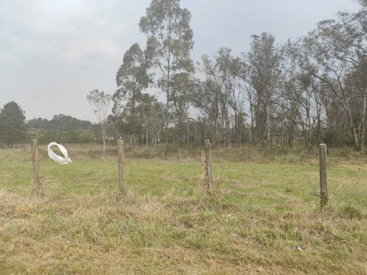 Terreno, 4 hectares - Foto 6