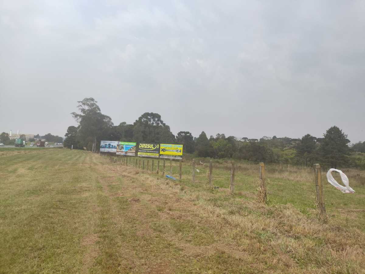 Terreno, 4 hectares - Foto 7