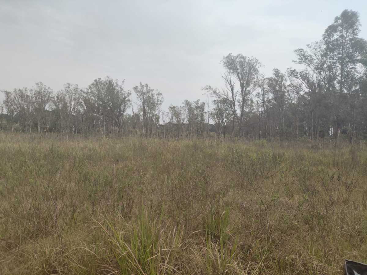 Terreno, 4 hectares - Foto 8