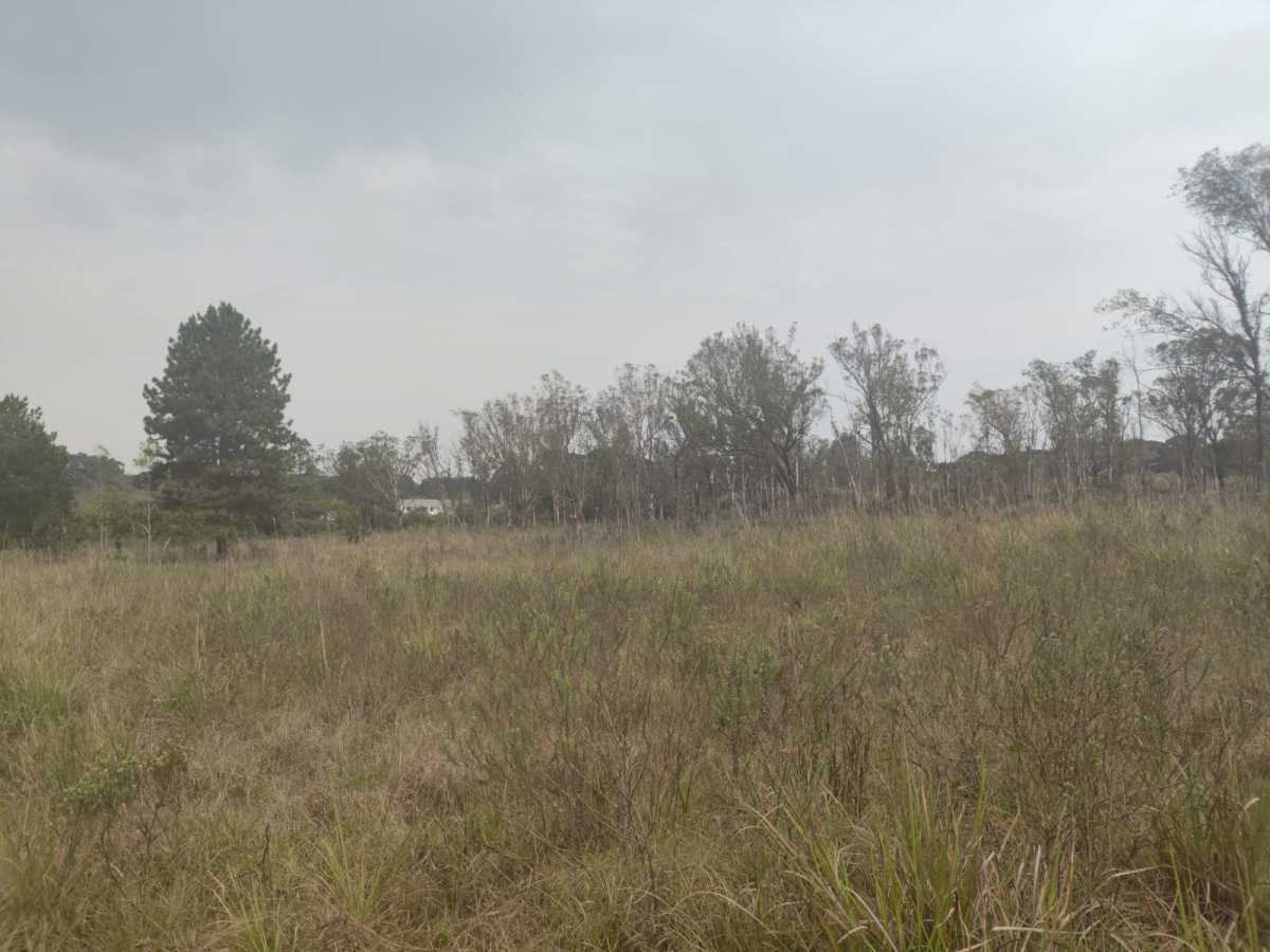 Terreno, 4 hectares - Foto 9
