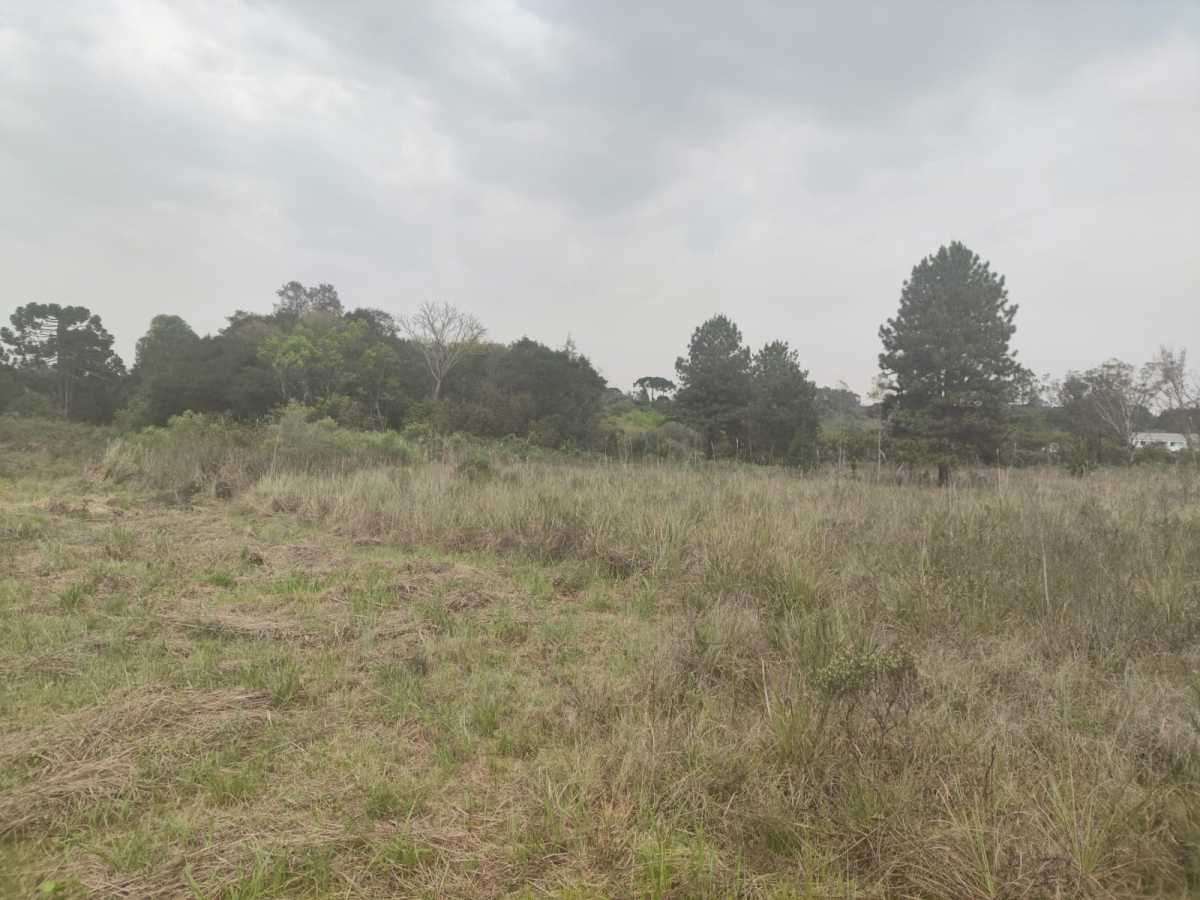 Terreno, 4 hectares - Foto 10