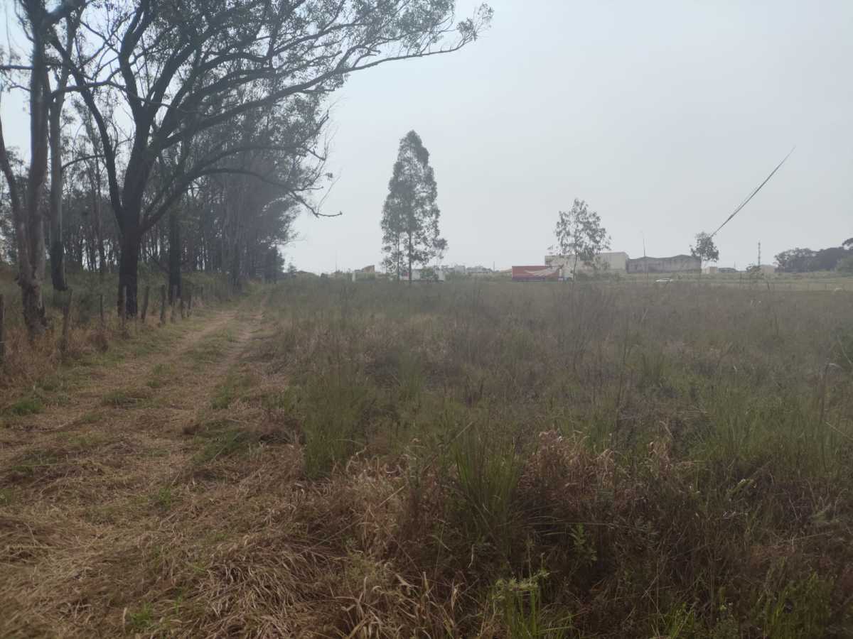 Terreno, 4 hectares - Foto 11