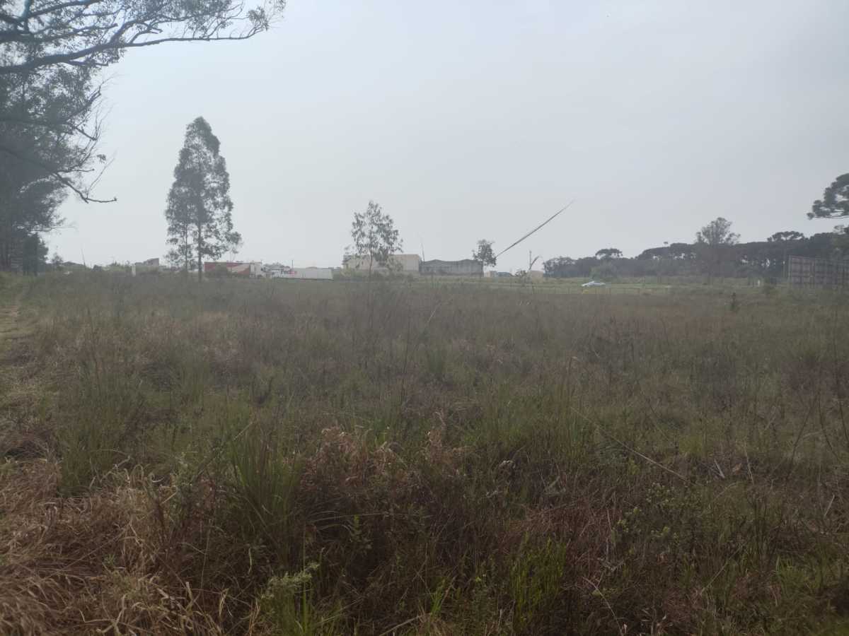 Terreno, 4 hectares - Foto 12